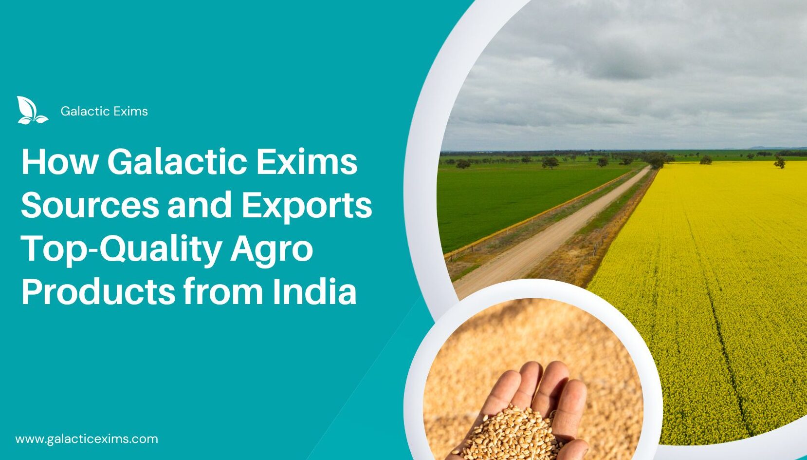 How Galactic Exims Sources and Exports Top-Quality Agro Products from India